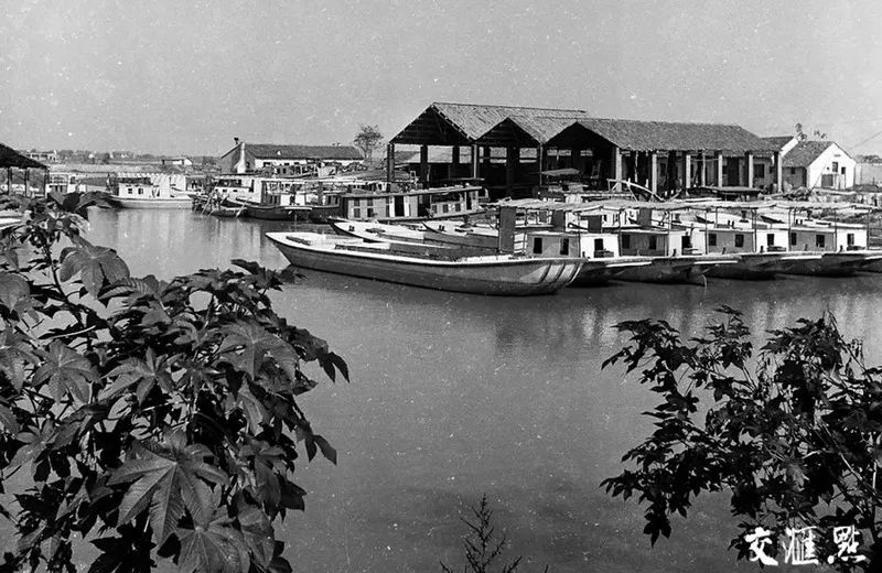 1741077510176029866.jpg 3.jpg