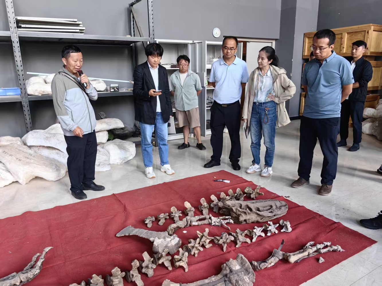 1761548873379092408.jpg 禄丰 恐龙博物馆_副本.jpg