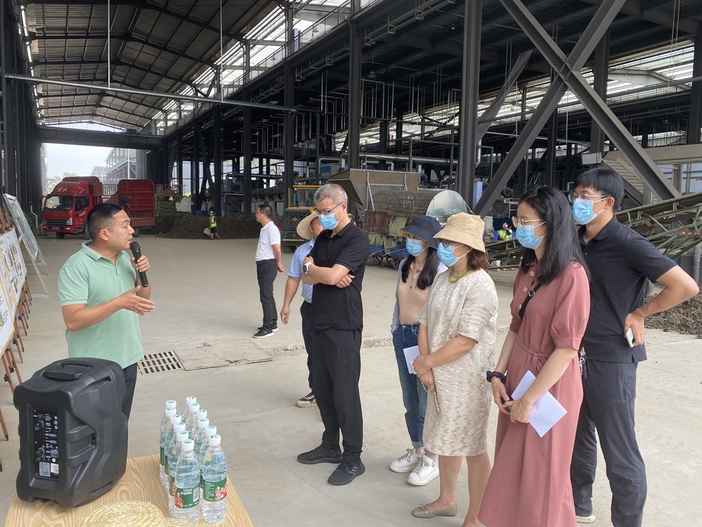 1718604884463017024.jpg 4 调研彭什川芎现代农业产业园区_副本.jpg