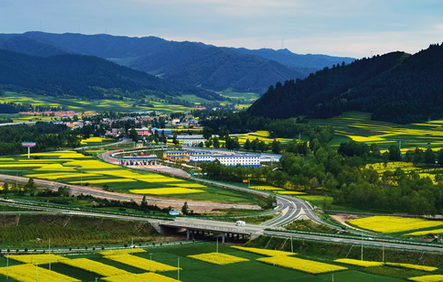 1670210445165095205.png 青海大通.png