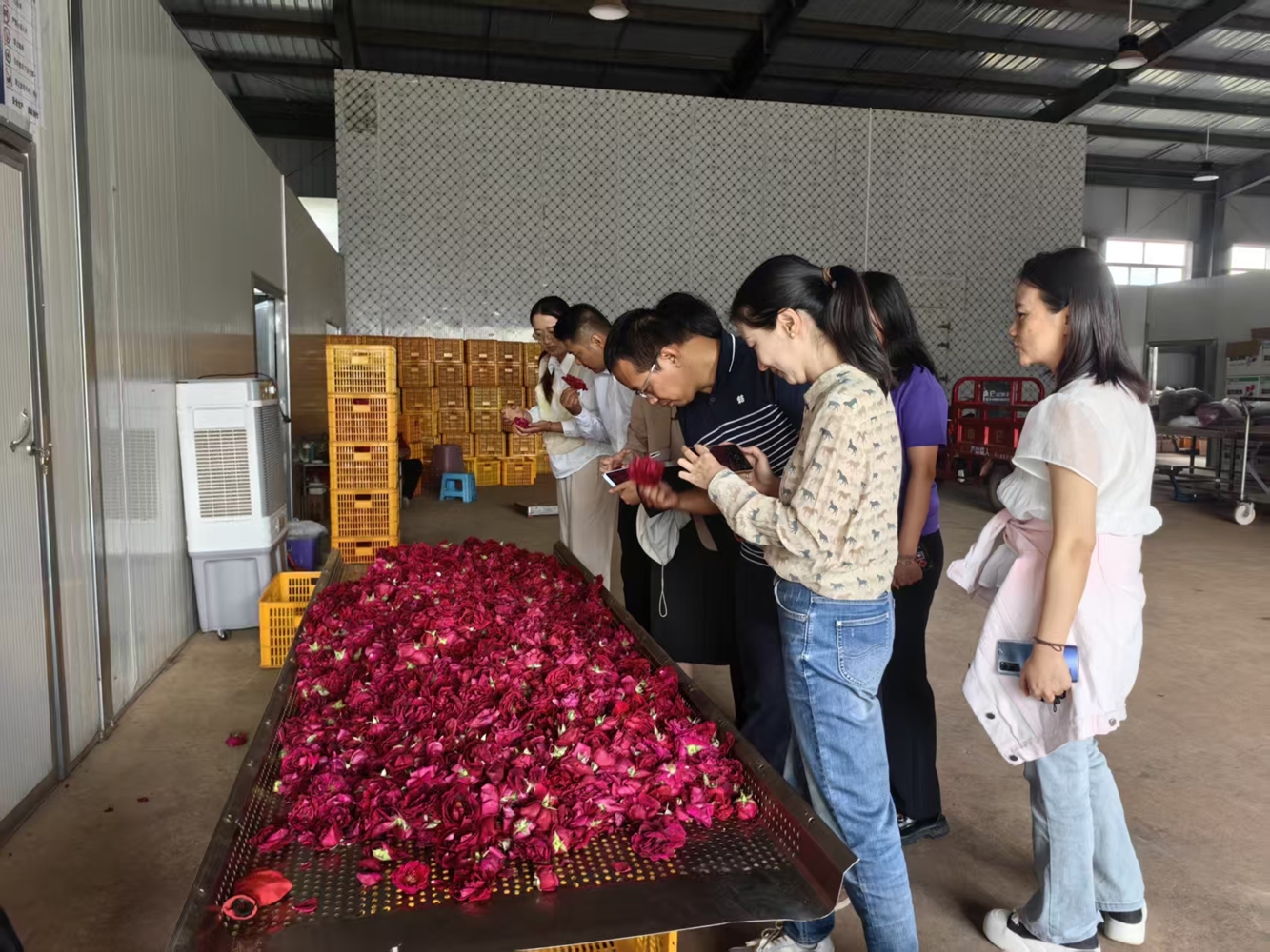 弥勒 小河边玫瑰产业园_副本.jpg